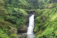 Maui Road to Hana Tour thumbnail 4