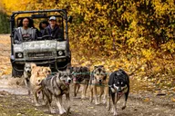 Two Rivers Sled Dog Experience thumbnail 2