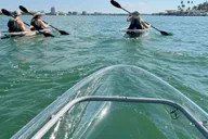 Tarpon Springs Clear Kayak Tour thumbnail 1