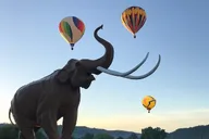 Hot Springs Hot Air Balloon Ride thumbnail 1