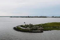 Charleston Harbor History Tour Aboard the Palmetto thumbnail 3