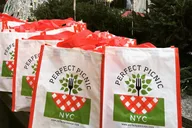 New York City Picnic Experience thumbnail 2