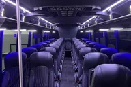 Fort Lauderdale Mini Bus Tour thumbnail 5