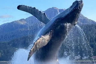 Juneau Sightseeing Private Tour