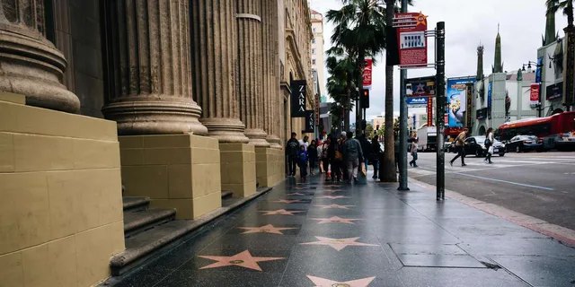 Los Angeles Private Tour with Hotel Pickup 4 hr - Image 2