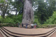 Redwood National Park Private Tour 3-Day thumbnail 6