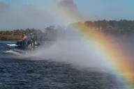 Homosassa Airboat Ride and Dolphin Watching thumbnail 4