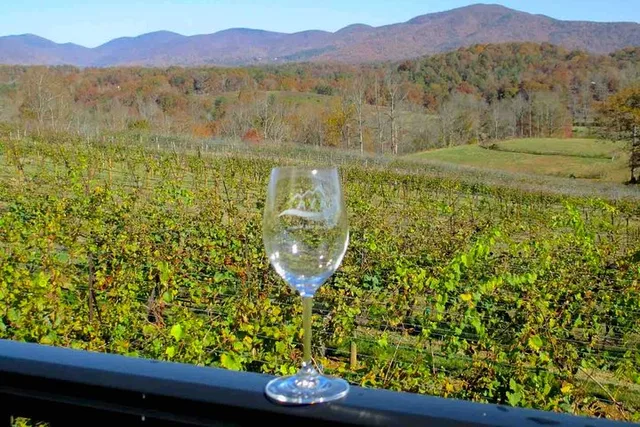 Atlanta Wine Country Tour - Image 3