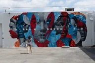 Miami Panoramic Bus Tour in French 3 hr thumbnail 5