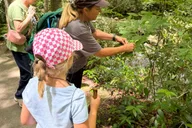 Gatlinburg Adventure Hike and Craft for Kids 3 hr thumbnail 4