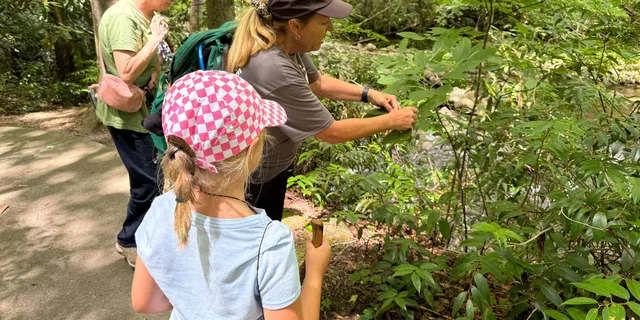 Gatlinburg Adventure Hike and Craft for Kids 3 hr - Image 4