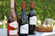 San Francisco Wine Tour in Napa and Sonoma 6 hr thumbnail 2