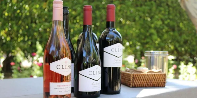 San Francisco Wine Tour in Napa and Sonoma 6 hr - Image 2
