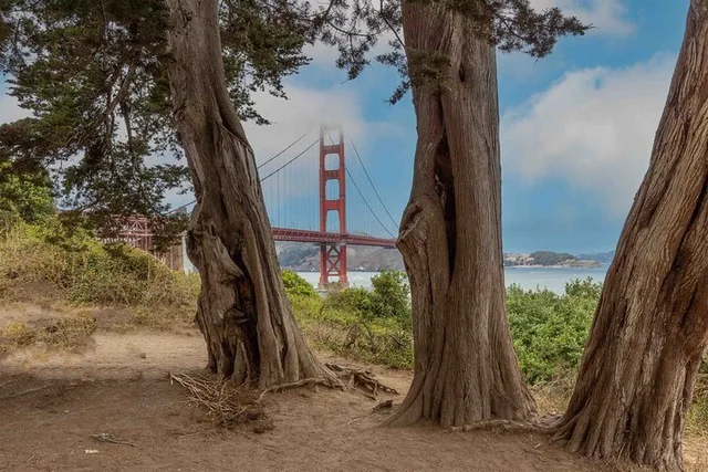 San Francisco Self-Guided Audio Tour - Image 6