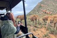 Cape Town Safari at Aquila Game Reserve thumbnail 1