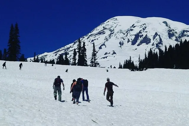 Seattle Mount Rainier Private SUV Tour - Image 5