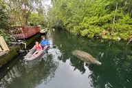 Crystal River Clear Kayak Sunset and Glow Tour thumbnail 4
