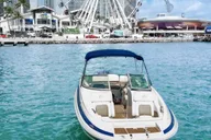 Miami Celebrity Mansions & Private Island Charter thumbnail 6
