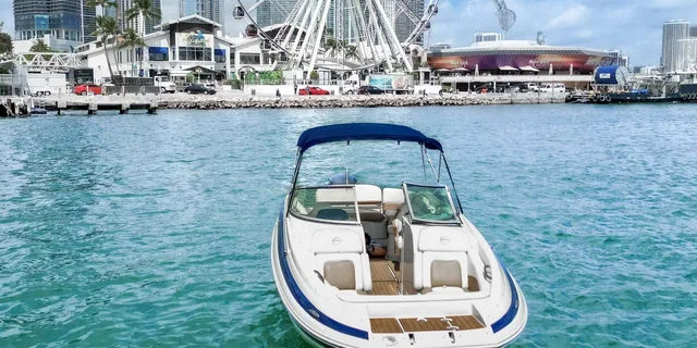 Miami Celebrity Mansions & Private Island Charter - Image 6
