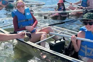 Sarasota Clear Kayak Mangrove Tunnel Tour thumbnail 5