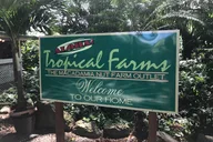 Oahu Circle Island Tour Full Day thumbnail 6
