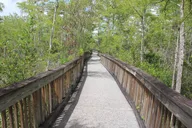 Miami Everglades Safari Day Tour thumbnail 4