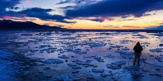 Anchorage Winter Wonderland Photo Tour 4 hr