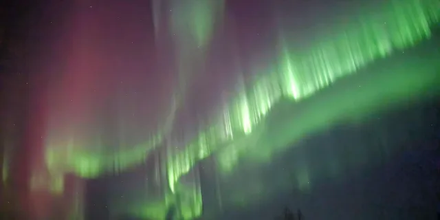 Fairbanks Arctic Circle Northern Lights Tour - Image 4