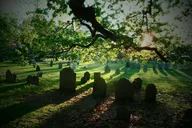Salem History & Sightseeing Walking Tour 2.5 Hr thumbnail 3