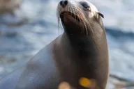 Bronx Zoo Entry Ticket thumbnail 4