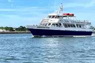 Cape May Whale and Dolphin Watching Cruise thumbnail 2