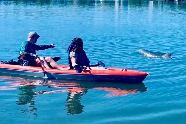 Daytona Beach Kayak Tour with Dolphins and Manatees - Image 3