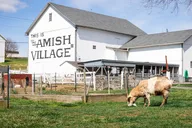 Philadelphia Countryside Driving Tour thumbnail 2