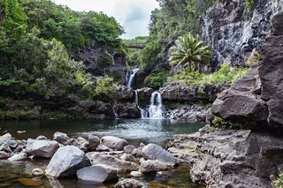 Maui Road to Hana Adventure with Farm-to-Table Lunch