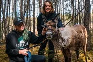 Fairbanks Reindeer Walking Experience 1 hr thumbnail 5
