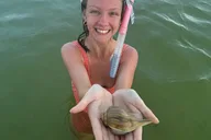 Panama City Swim with Dolphins and Snorkeling Tour thumbnail 4
