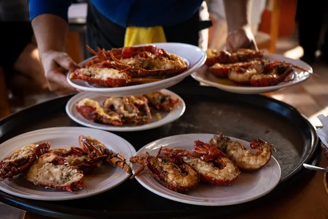 Puerto Nuevo Lobster and Tequila Tour - Image 2
