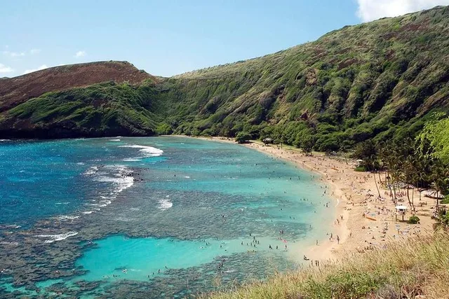 Honolulu Snorkeling Tour at Hanauma Bay - Image 2