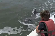 Hilton Head Boat and Kayak Adventure thumbnail 4