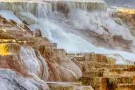 Bozeman Yellowstone Upper Loop Day Tour thumbnail 1
