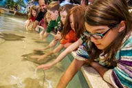 Boston New England Aquarium Admission thumbnail 1