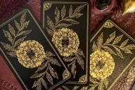 New Orleans Paranormal Experience with Tarot Reading 2.5 hr thumbnail 3