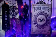 St. Augustine Oracle Card Reading Tour thumbnail 1
