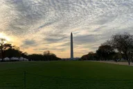 Washington DC Sightseeing Private Tour thumbnail 4