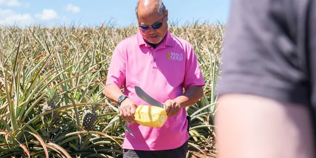 Maui Pineapple Farm Tour in Haliimaile - Image 2