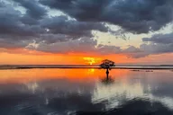 Orlando Airboat Tour at Sunset 1 hr thumbnail 1