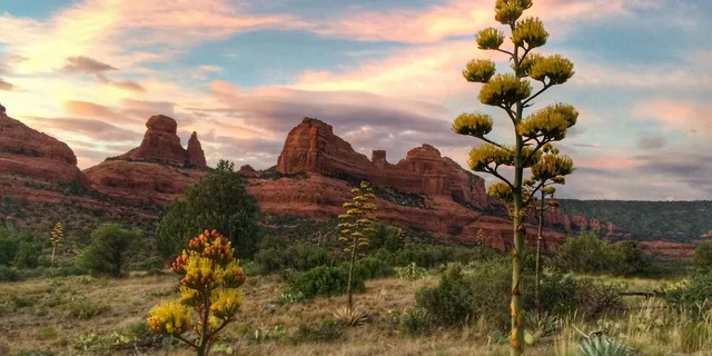 Sedona Sacred Places and Vortex Tour - Image 4