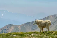 Colorado Backcountry 4x4 Off-Road Adventure thumbnail 5