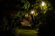 Charleston Dark Side Walking Tour 1.5 hr thumbnail 5