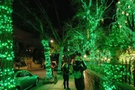 New York City Dyker Heights Christmas Lights Tour thumbnail 3